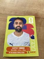 Panini NZL 11
