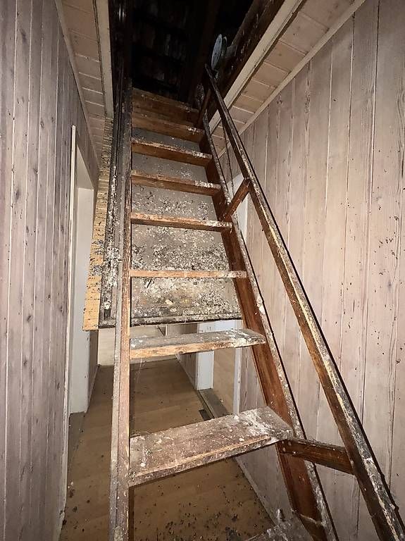 Scale: Grosse Estrich-Auszugstreppe – Usato da Münchwilen AG venduto da me2work 1