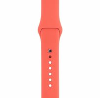 Apple Watch 42mm / 44mm Armband M/L