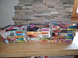 Slam Dunk Manga neu