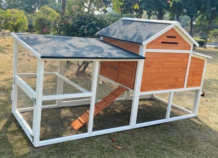 Gabbie, trasporto & Sicurezza: Meerschweinchenstall Hasenstall – Nuovo e nell'imballaggio originale da Eschenbach LU venduto da PETHOMES_AG 4