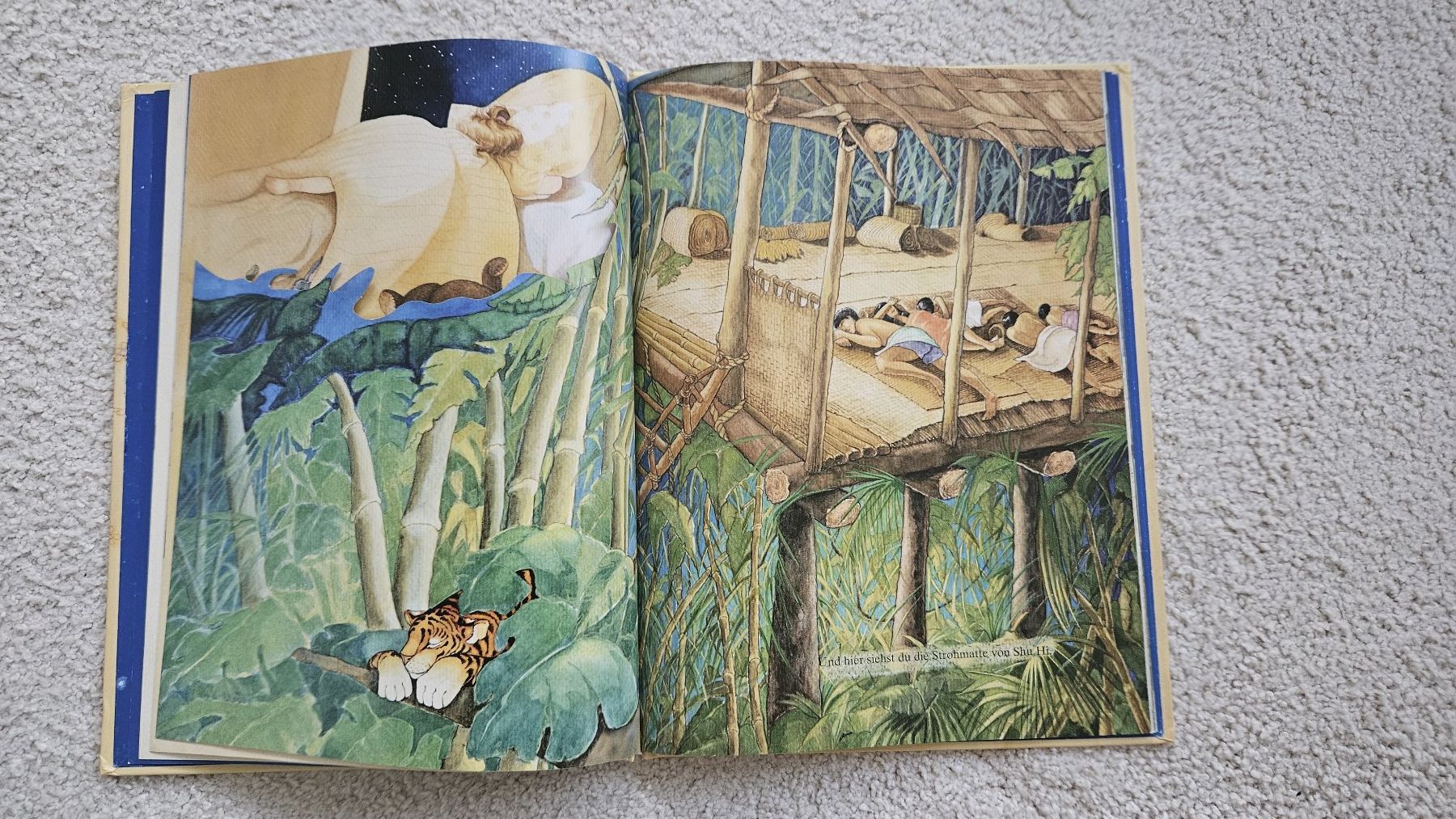 Libri: Zwei Kinderbücher Bilderbuchgeschichte Einschlafbuch – Usato da Gossau SG venduto da dolores_x 6