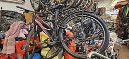Diverse Velo