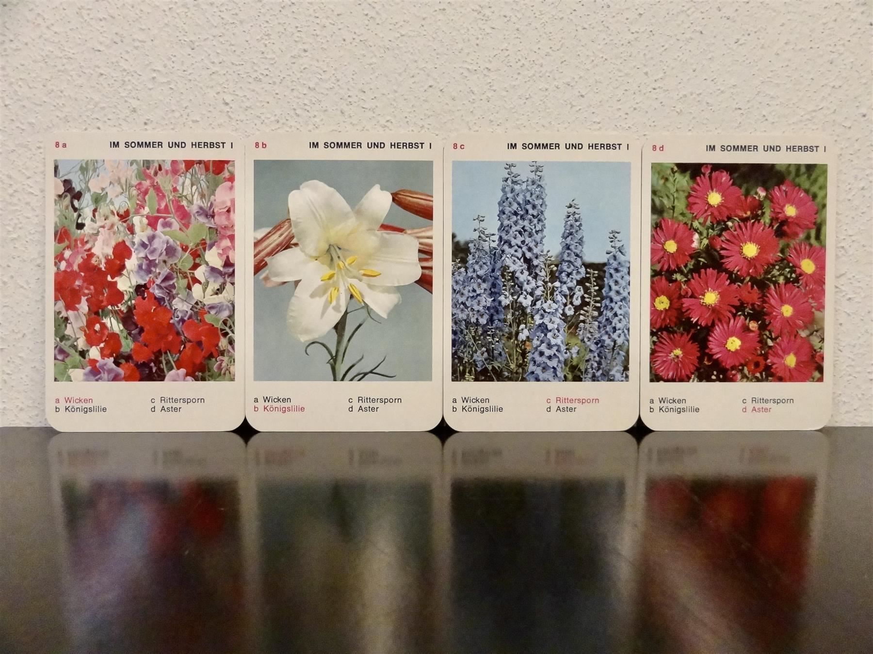 Giochi: altes Quartett BLUMEN-QUARTETT BLUMEN – Usato da Kerzers venduto da wisaundso 8