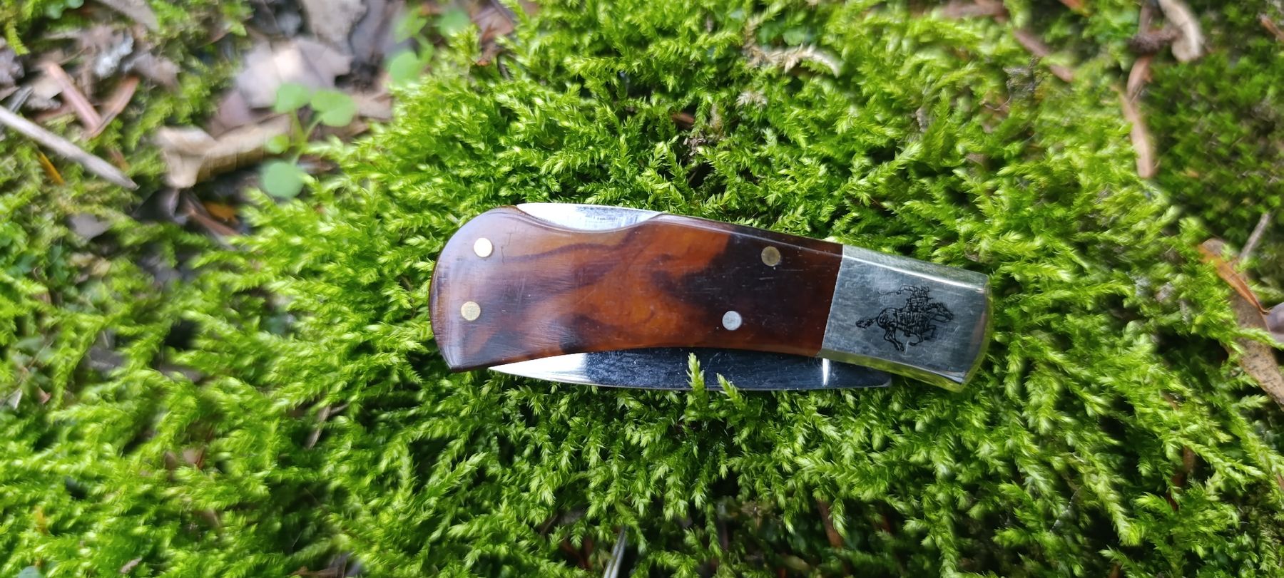 Winchester Taschenmesser: Winchester Taschenmesser  – Neu und originalverpackt aus Oppligen von can_rf8g 2