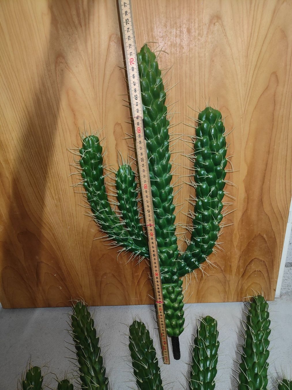 Tutte le decorazioni: Kaktus – Usato da Muri AG venduto da Hupfy 1