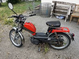 Pony gtx 503