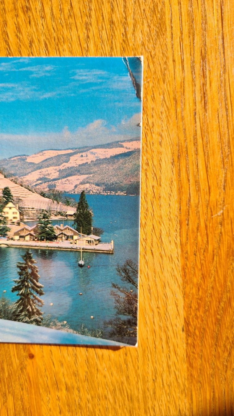 Cartoline postali: Spiez am Thunersee  mit Schloss, Ansichtskarte – Nuovo (secondo la descrizione) da Winkel venduto da Heuresis 2