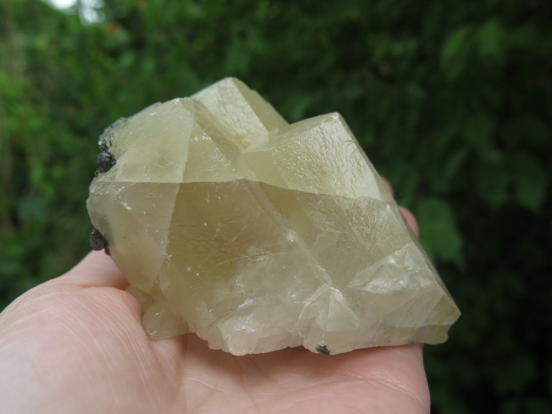 Mineralien & Heilsteine: Kanonenspat Calcit von USA – Gebraucht aus Schaffhausen von Yamakana51L8736OQ8 7
