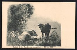 Zürich, Rudolf Koller Jubiläums-Ausste