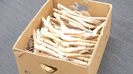 Konvolut Kinderkleiderbügel Holz | Kleiderbügel | Garderobe