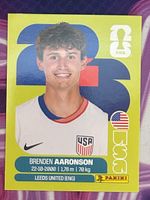 USA 17
