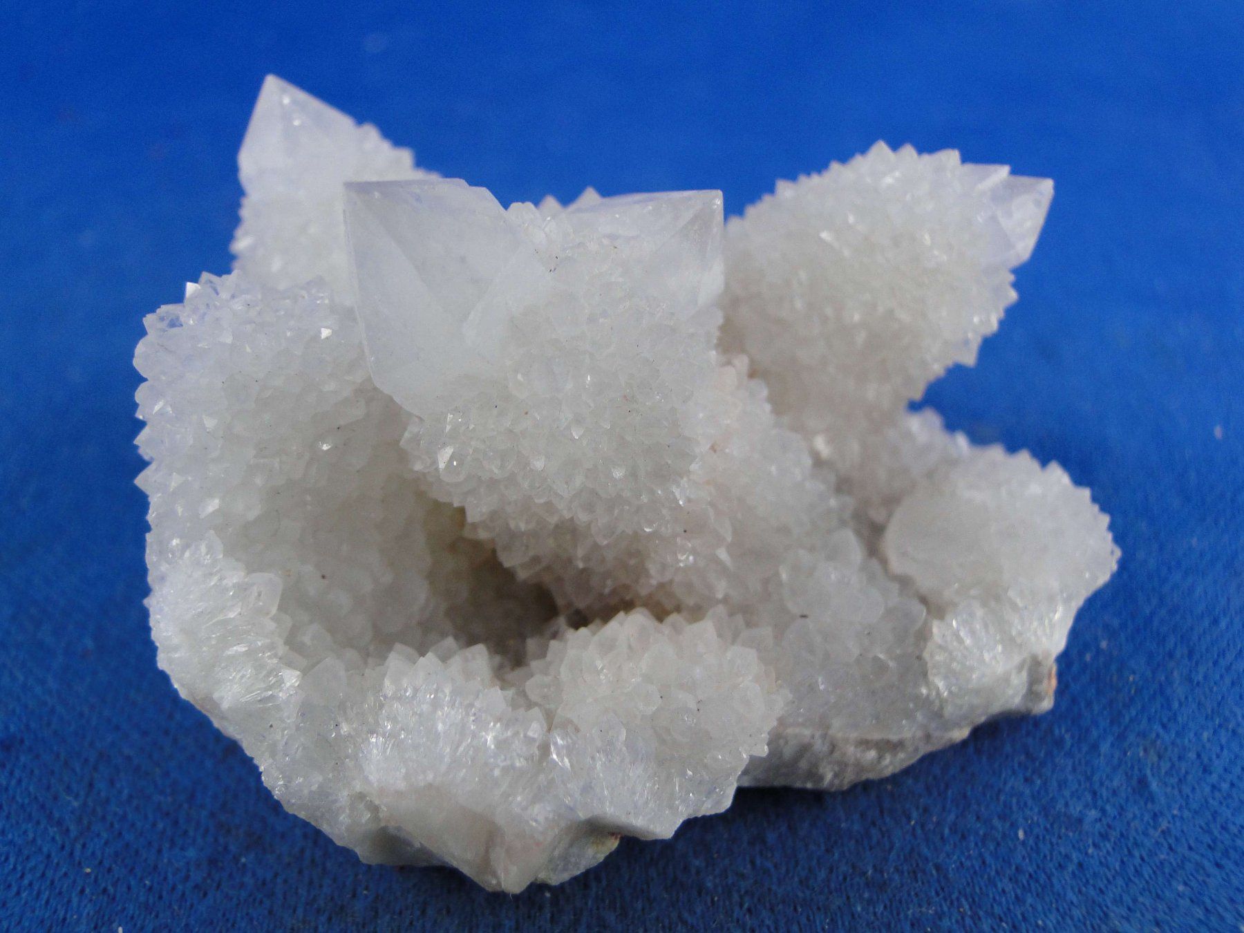Minerali & Pietre curative: Quartz var. Amethyst & Kaktus – Nuovo e nell'imballaggio originale da Schinznach Bad venduto da Demerald