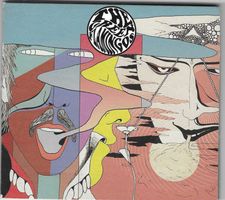 THE GREEN FLAMINGOS  -  THE SOUTHERN ORACLE