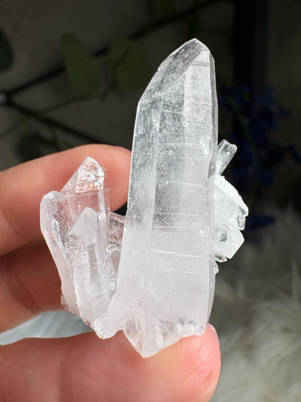Minerali & Pietre curative: Kolumbianischer Lemurian-Quarz-Cluster – Nuovo (secondo la descrizione) da Neuheim venduto da m.hald 7