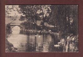 ZÜRICH - Zürichhorn - 1911