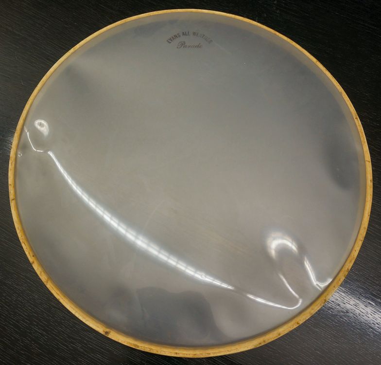VINTAGE Evans 14' Parade Snare Drum Resonant Head Kaufen auf Ricardo