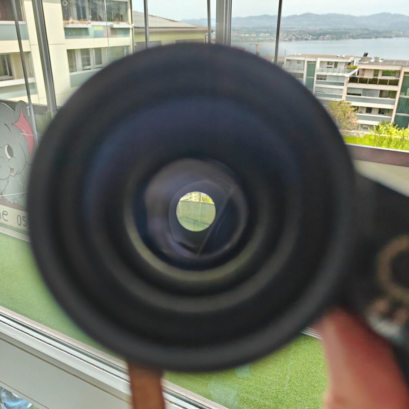 Zeiss Binocoli: Carl Zeiss Dialyt 8x30b Feldstecher – Usato da Richterswil venduto da Tailgate 4