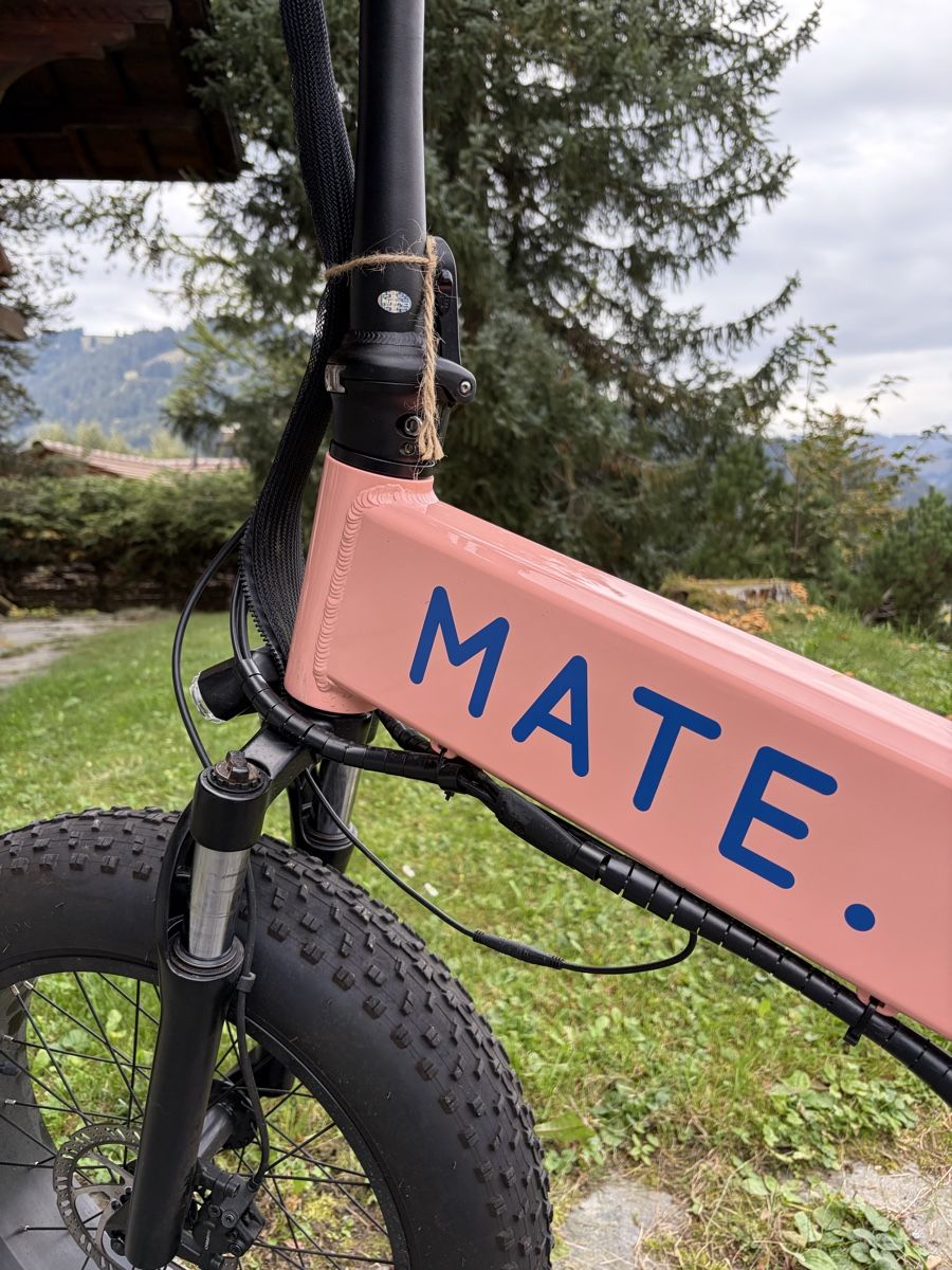 Velos: Mate X 750W Candy Crushed – Neu (gemäss Beschreibung) aus Rougemont von Fossati07 1