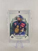 💚🏒 HC Davos – Andres Ambühl Green 22/60