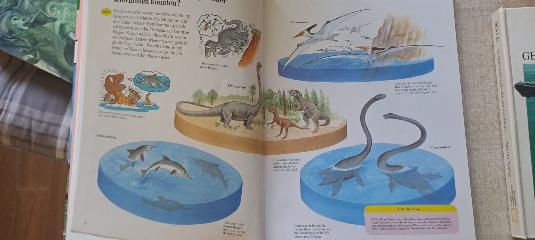 Libri: Wale und dinosaurier buch – Usato da Bitsch venduto da jajo79076 7