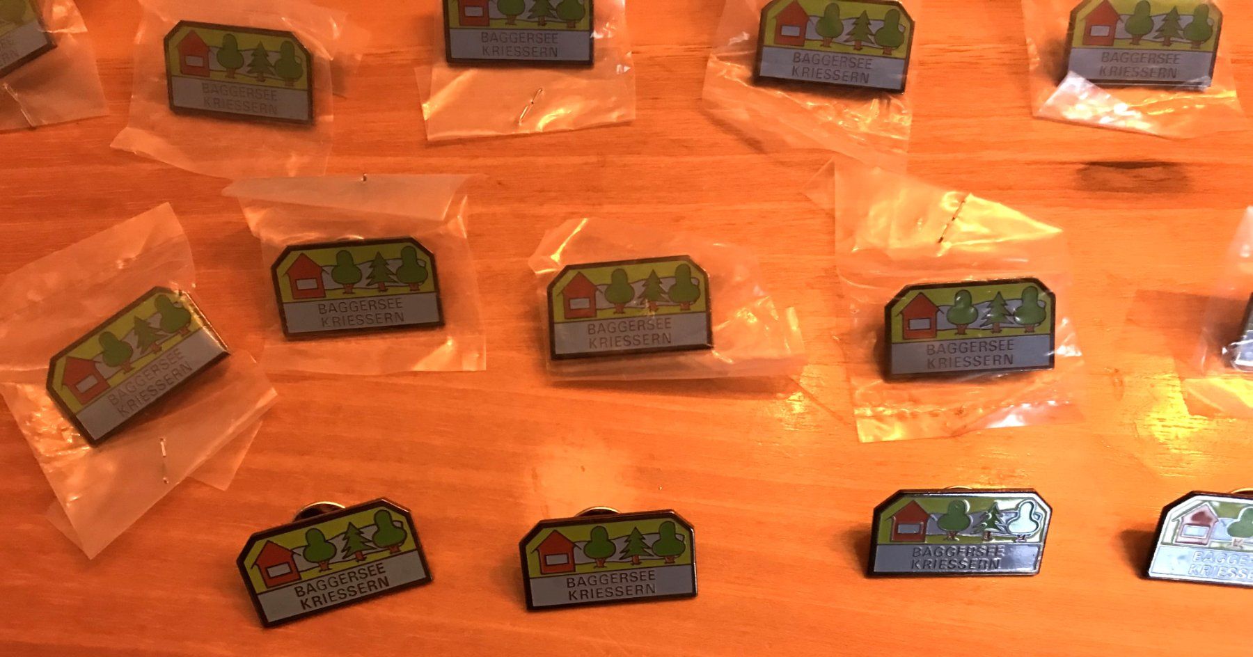 Placchette & Badge: Sammlung Anstecker Pins – Usato da Altstätten SG venduto da Nik2009 9
