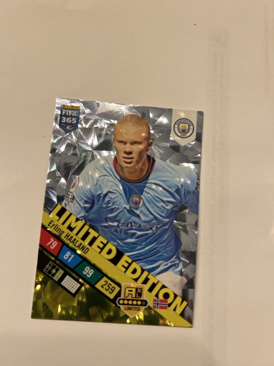 Panini Carte collezionabili: Haaland Panini 2024 – Nuovo (secondo la descrizione) da Zug venduto da Bure0