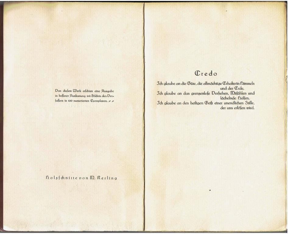 Libri: Adolf Attenhofer - Letzte Torheit, 1923 – Usato da Flims - Dorf venduto da Stagediver 2