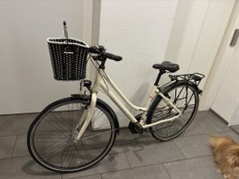 Citybike Crosswave Speedster - wenig gebraucht