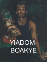 LYNETTE YIADOM-BOAKYE - Kunsthalle Basel / New Museum NYC