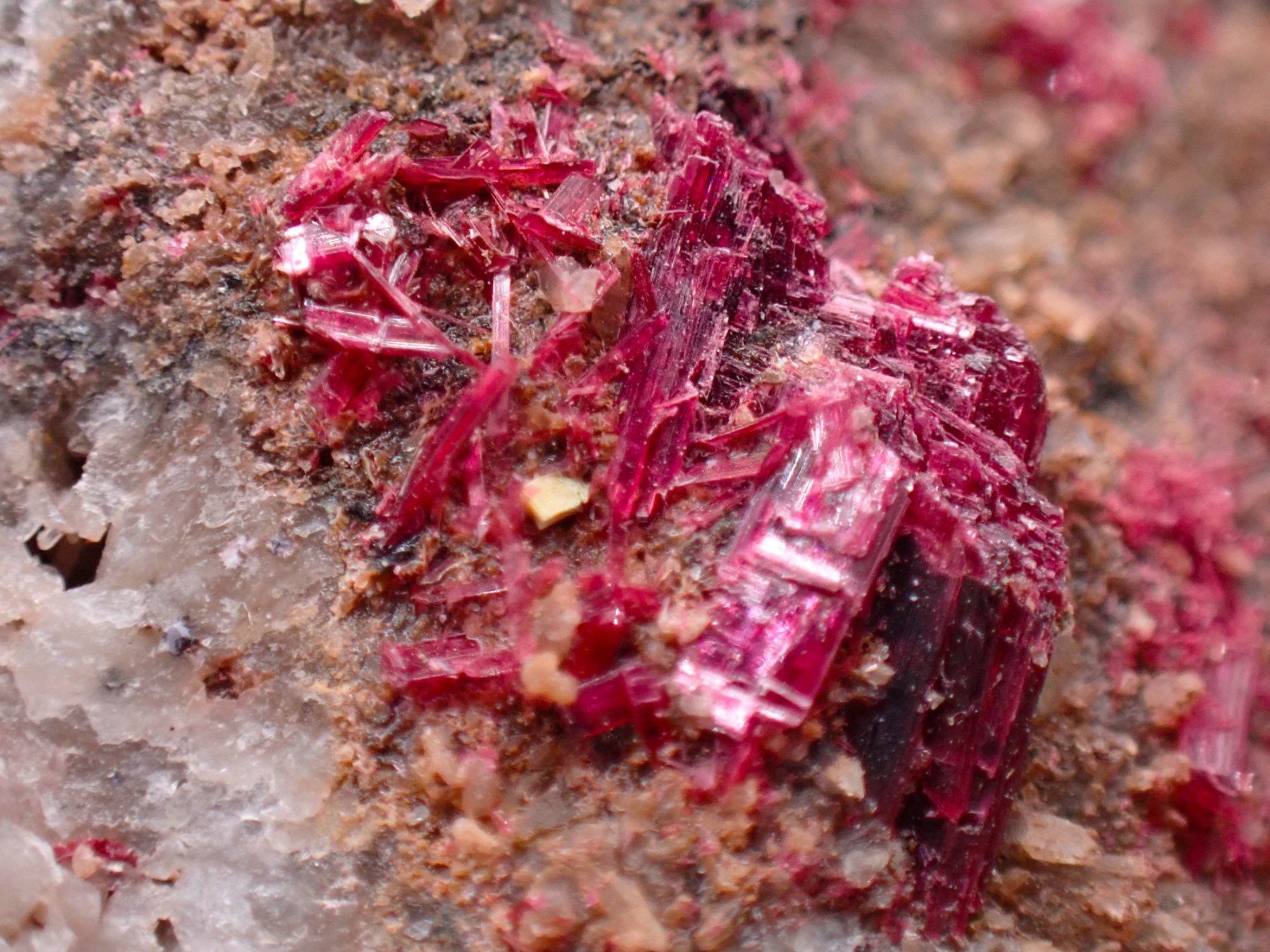 Minerali & Pietre curative: Erythrite, Drâa-Tafilalet Region, Morocco – Usato da Figino venduto da minshop 1