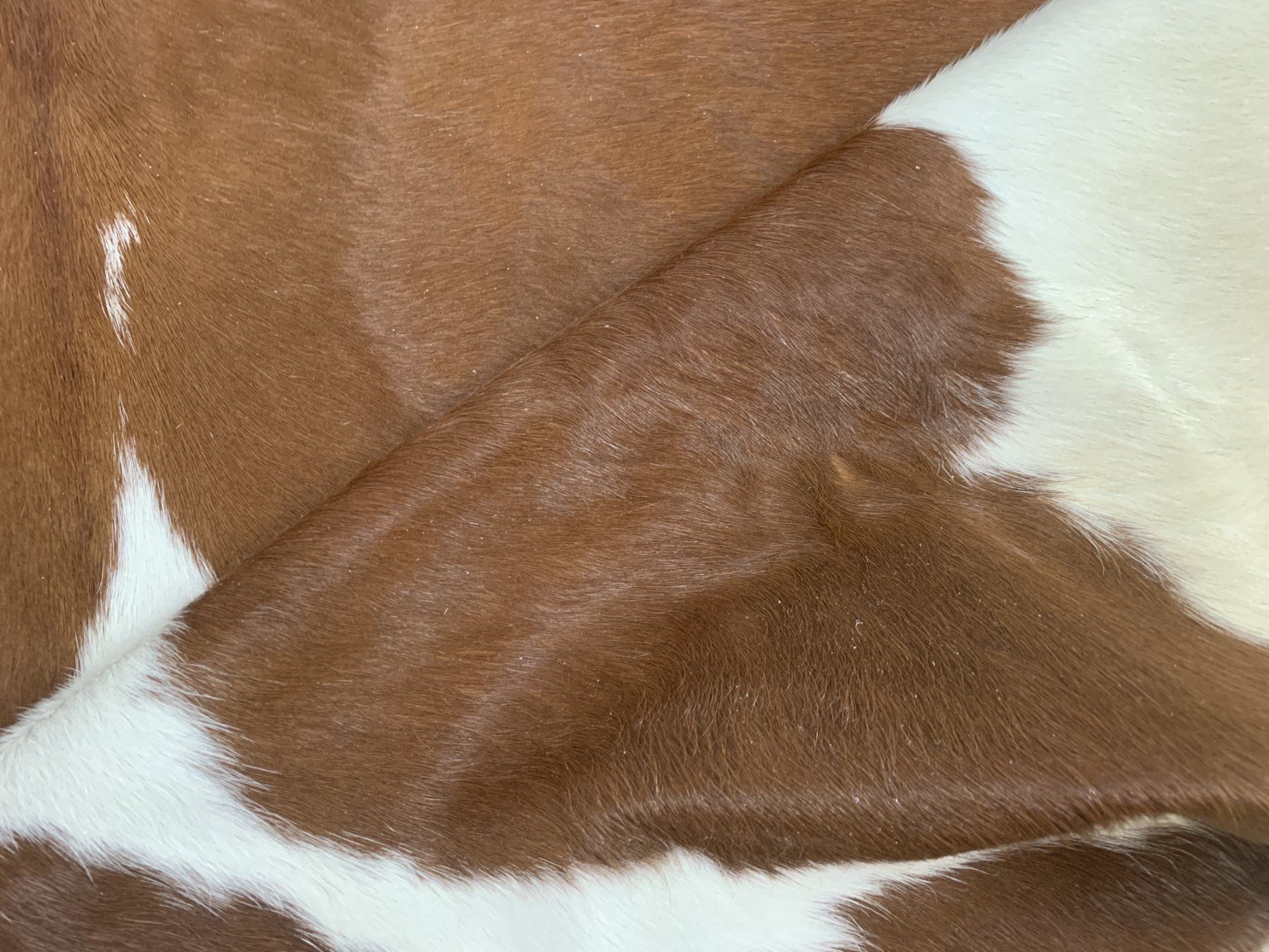 Tappeti: echtes Kuhfell Teppich Brown/White – Nuovo e nell'imballaggio originale da Arbedo venduto da patagonialeatherrugs 2