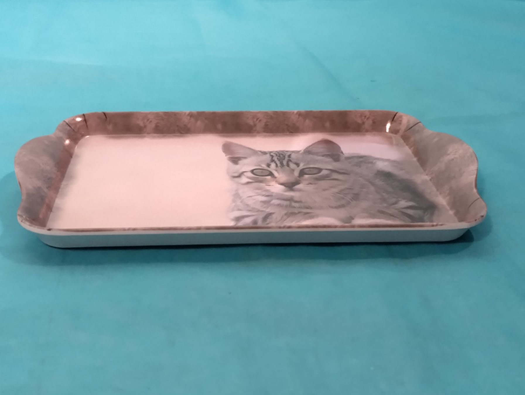 Piatti di portata: Serviertableau mit Katze, Tigerli – Nuovo (secondo la descrizione) da Bellach venduto da JingleCherry 2