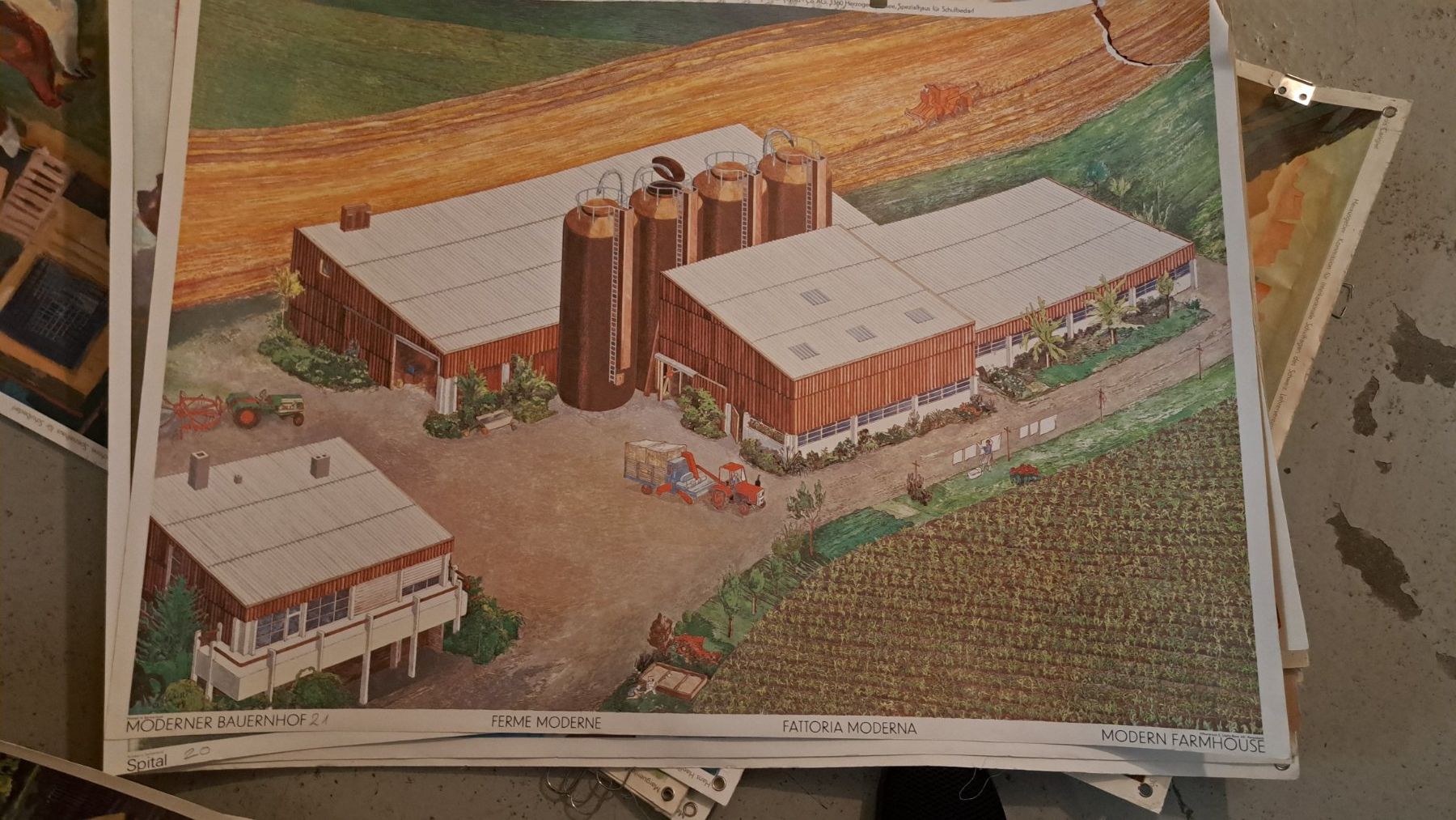 Poster & Bilder: Schulwandbilder – Gebraucht aus Flawil von Dodo68 1