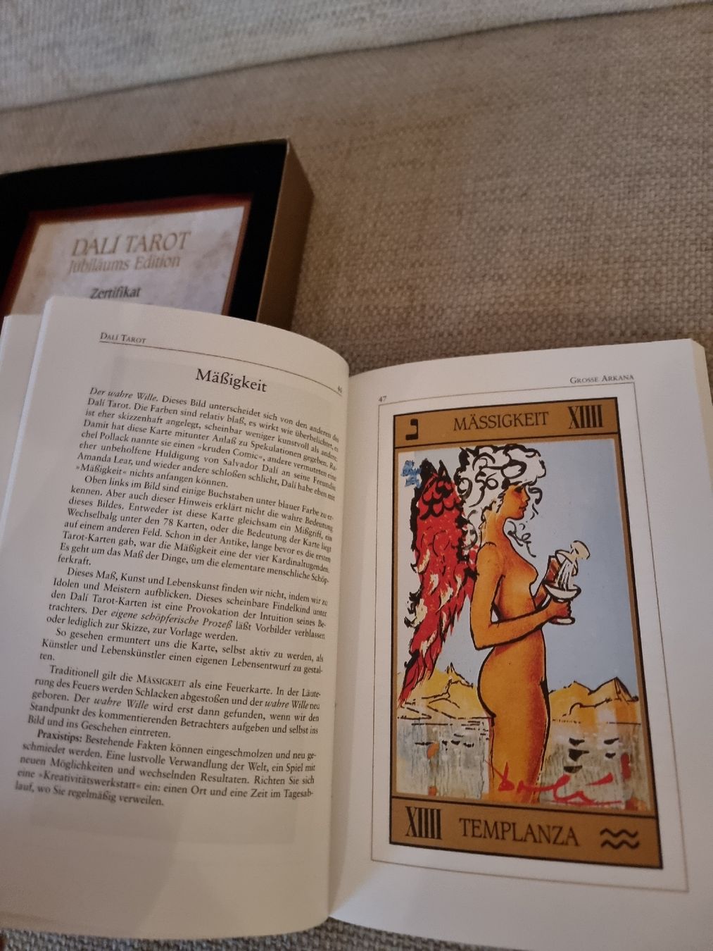 Giochi: DALÍ TAROT Jubiläumsedition, Samt Box – Usato da Veltheim AG venduto da gave04 3