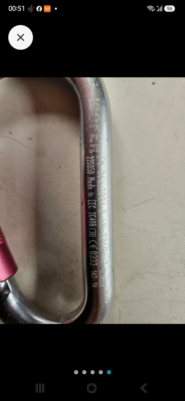 Kletterausrüstungen: 10 Kletterkarabiner, Aluminium, 226550 – Gebraucht aus Oberburg von znas 1