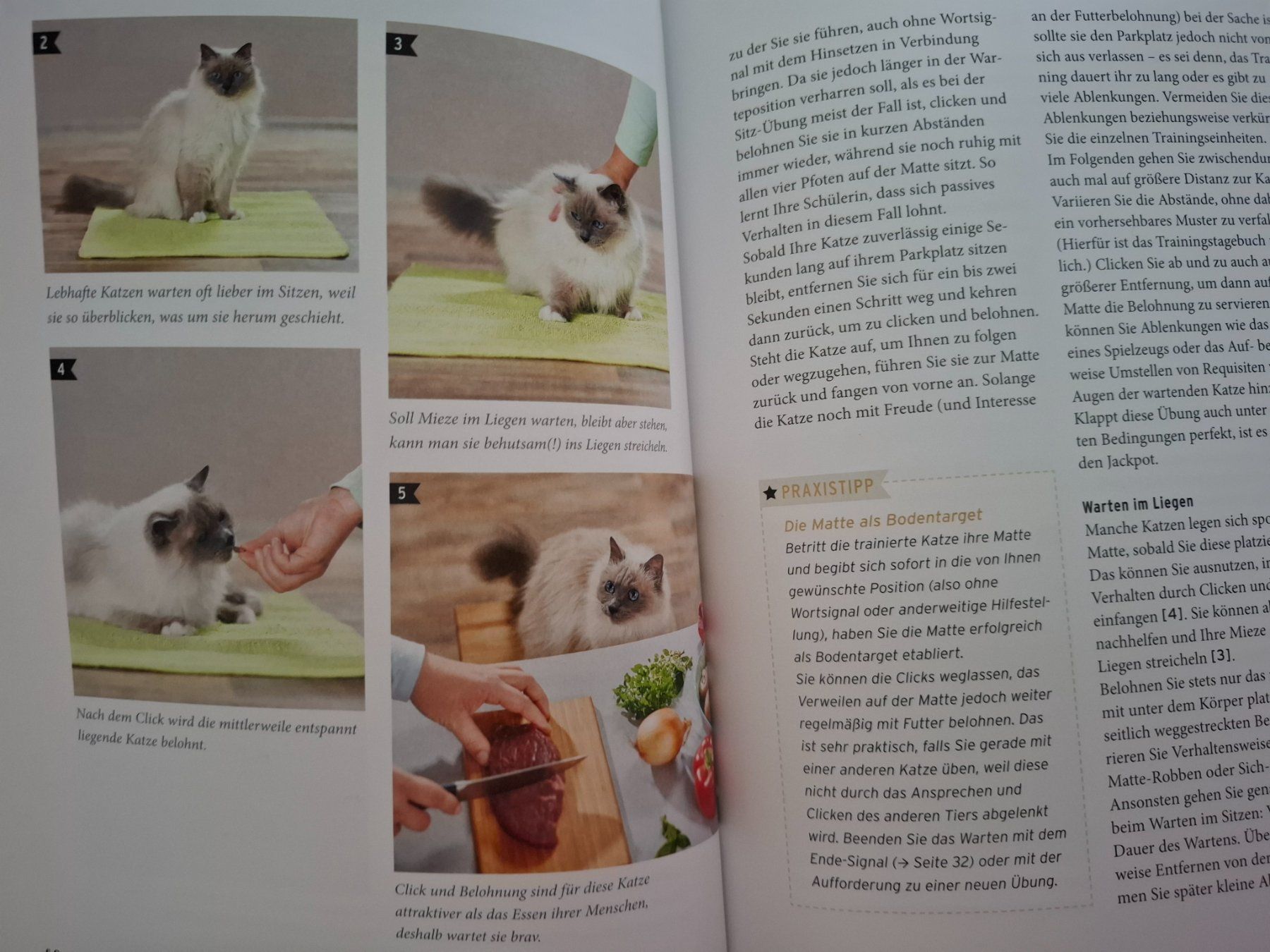 Libri: Katzen Clicker Training - Basics & Tricks - Praxisbuch – Usato da Eiken venduto da Lashar 2