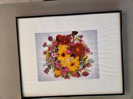 Bild Blumenstraus von oben