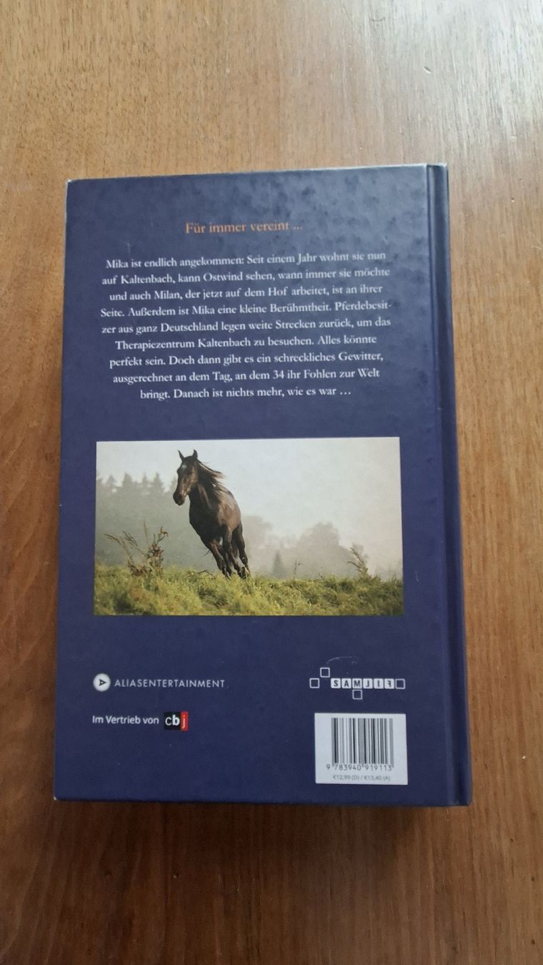 Libri: Ostwind – Usato da Zürich venduto da Olivenbaum33 1