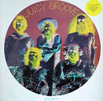 JUICY GROOVE ‎– First Taste - Garage Psychedelic Rock