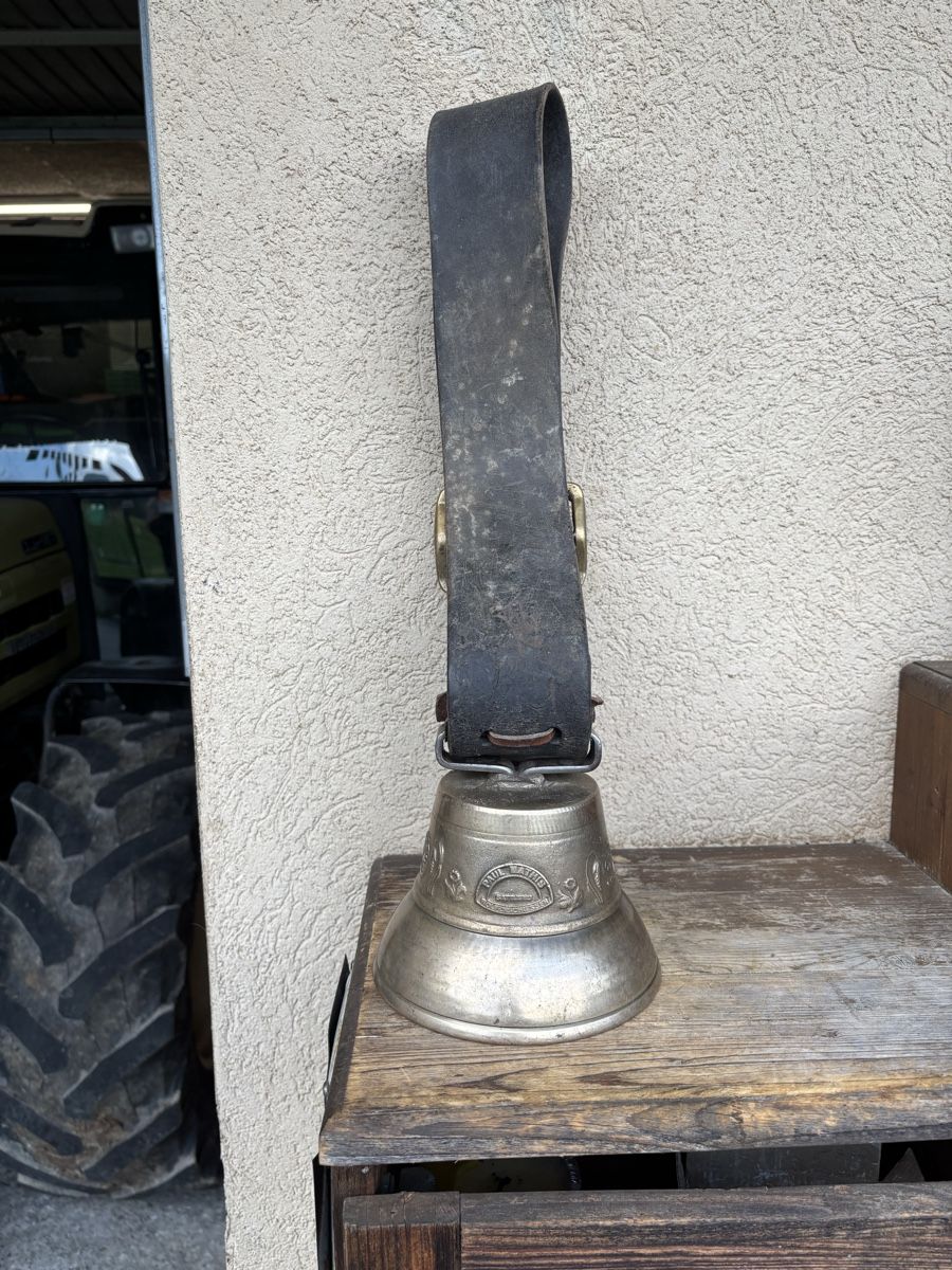 Campanacci mucche: Weideglöggli – Usato da Schangnau venduto da Roseggli82 6