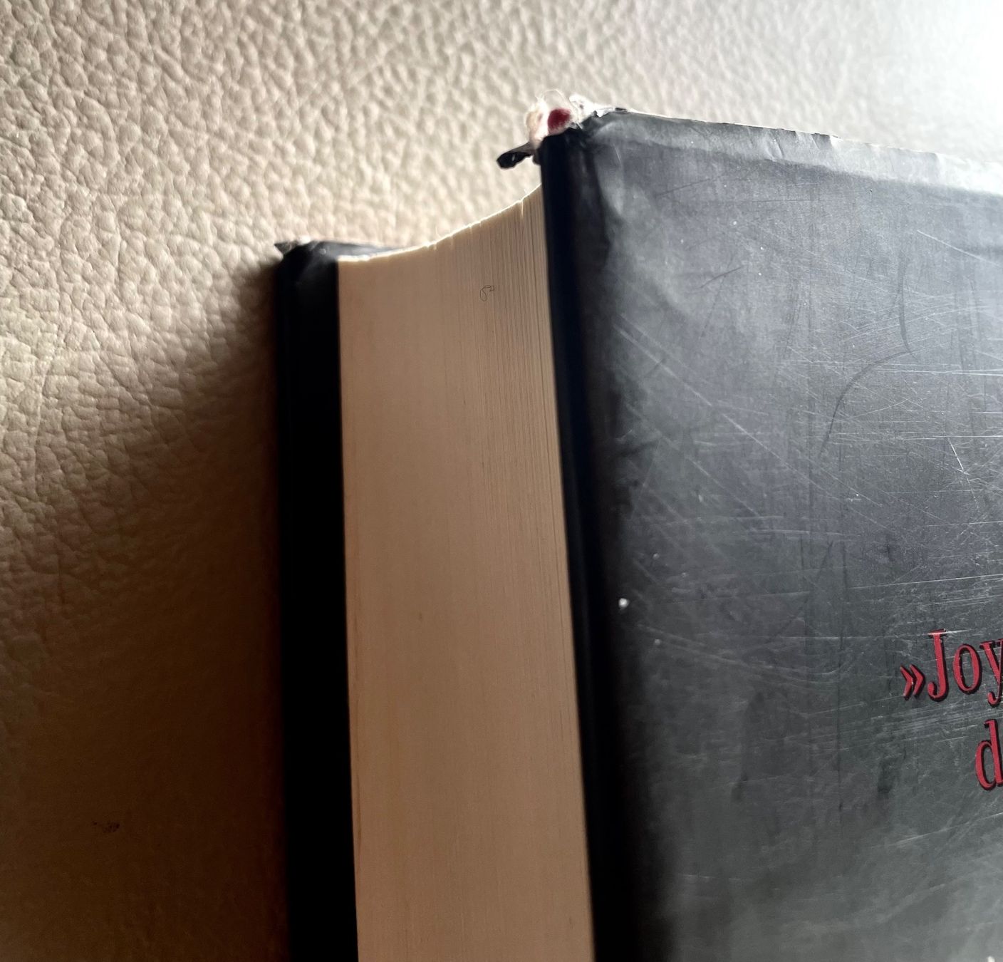 Libri: DIE KATZE - JOY FIELDING - GEBUNDENE AUSGABE – Usato da Buchs AG venduto da fischli610 2