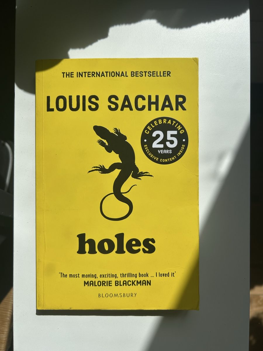 Libri: Titel: Holes       Autor: Louis Sachar  – Usato da Koblenz venduto da No_s419