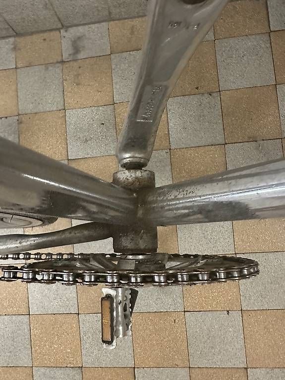 Siech Biciclette: Siech Cycles Singlespeed für Bastler – Usato da Basel venduto da pau_96mv 2