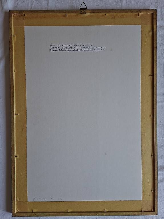Foto & Immagini: Farbradierung von Eva Ziolkowski – Usato da Wabern venduto da amo_pp26 2