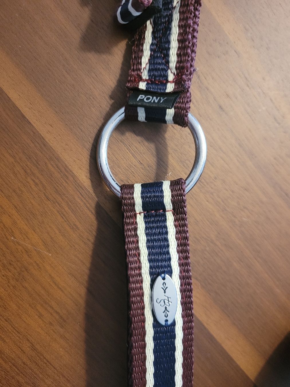 Briglie & Cavezze: Chices Halfter - Grösse Pony - Neuwertig – Nuovo (secondo la descrizione) da Dagmersellen venduto da buc_786y 5