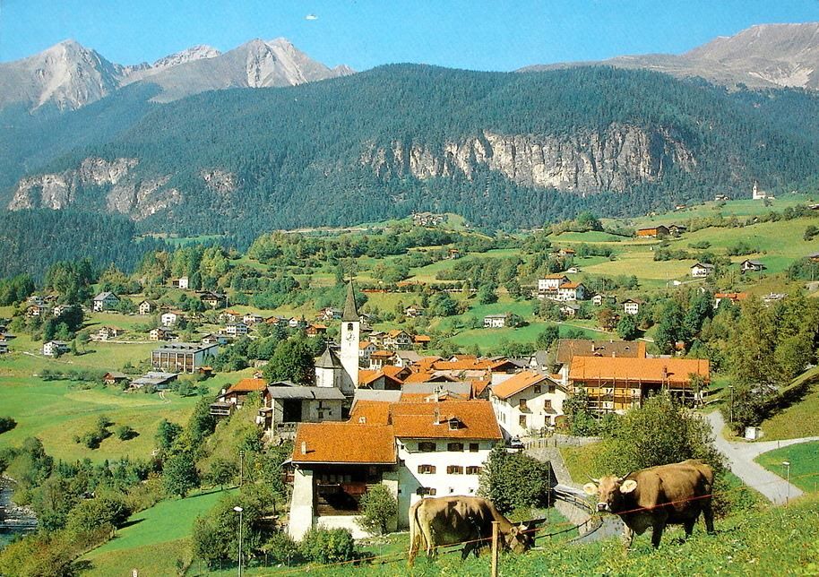 Cartoline postali: FILISUR Albulatal, Kühe – Usato da Jona venduto da philajona