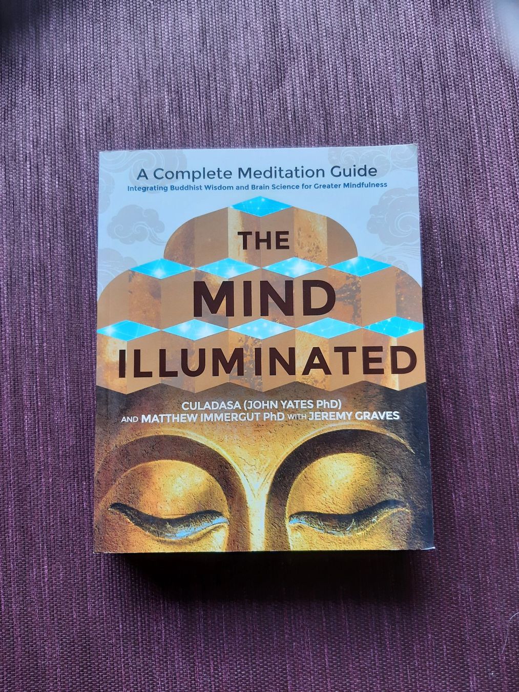 Livres: The Mind Illuminated - John Yates PhD – D'occasion à Fribourg par metalhands