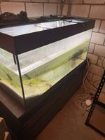 Aquarium Eheim 120L