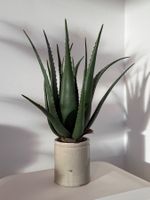 Kunstpflanze Agave realistisch hochwertig 70 cm Keramiktopf